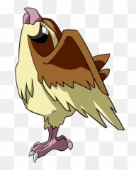 Pidgey Png 8 Image - Pidgey Png,Pidgey Png