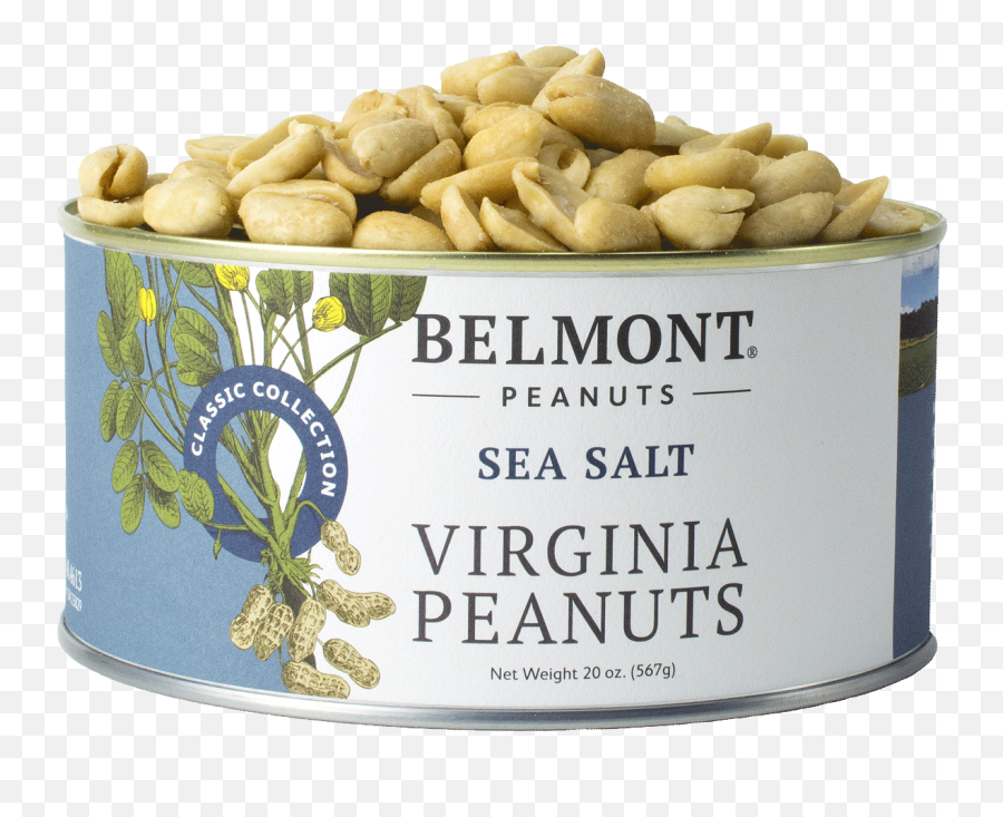 Belmont Peanuts - Belmont Peanuts Png,Peanuts Png