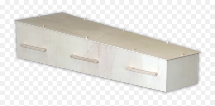 Chistann Diy Flat - Pack Ecocoffin Flatpack Coffin Png,Coffin Png