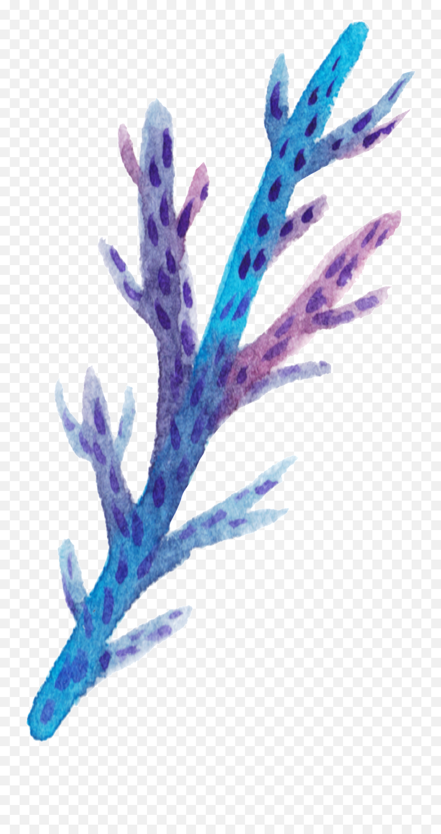 Blue Coral Cartoon Transparent - Cartoon Coral Transparent Png,Coral Transparent