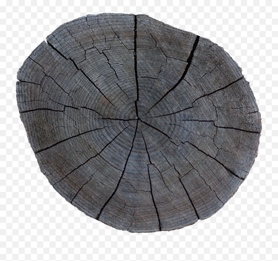 Wood End 31 - Solid Png,Stump Png