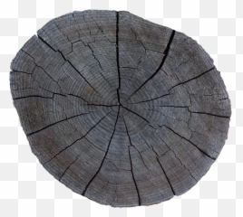 Wood End 31 - Solid Png,Stump Png