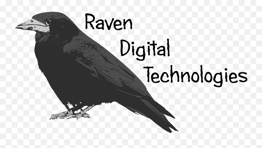 Raven Feather Png - Raven Png Download Bird Of Prey Bird Of Prey,Prey Png