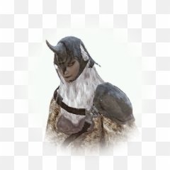 Magic Crystal Of Crimson Flame - Carnage BDO Codex Harpy Warrior png