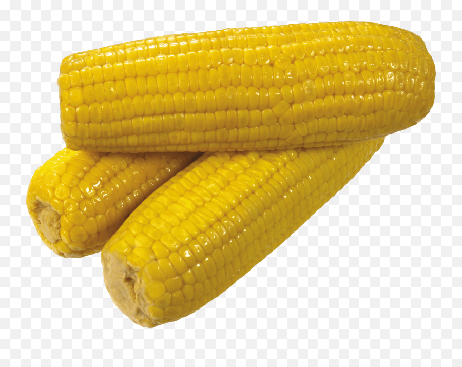 Png Yellow - Yellow Corn,Corn Transparent Background