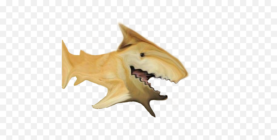 Shoge Png - Album On Imgur Dogelore Transparent,Shark Png