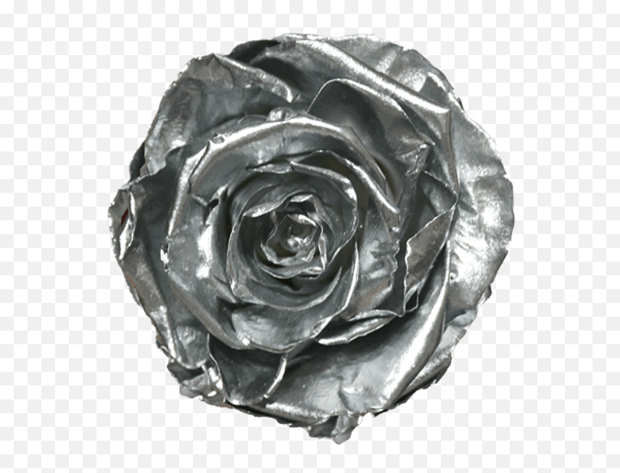 Roses - Roseland Ecuador Garden Roses Png,Icon And The Black Roses
