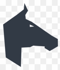 Vareco Holdings Interests - Stallion png