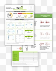 Righteye Vision System - Tracking Technology Software png