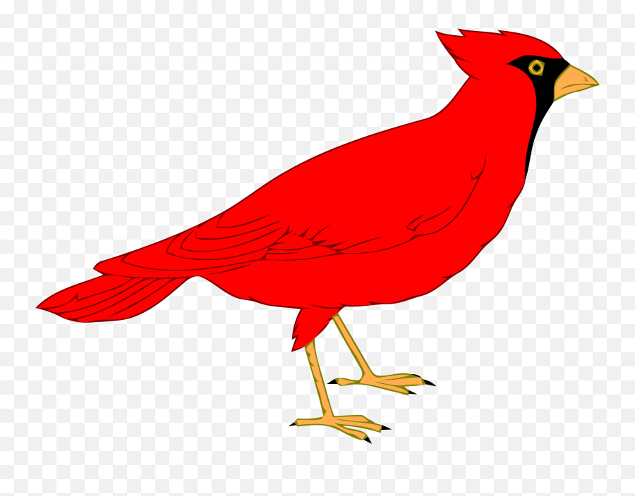 Angry Red Bird Clipart Png - Red Bird Clipart,Red Bird Png