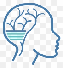 Brain Outline Png - Case Studies Chiropractic Neurologist Clip Art