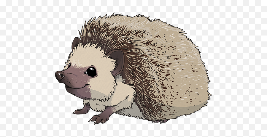 Hedgehog Transparent Png - Hedgehog Transparent,Hedgehog Transparent Background