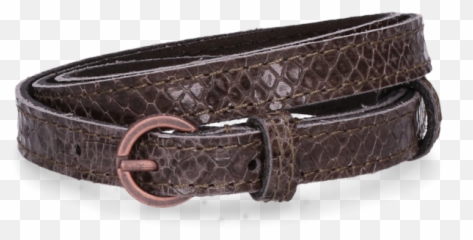 Anaconda Png - Belt,Anaconda Png