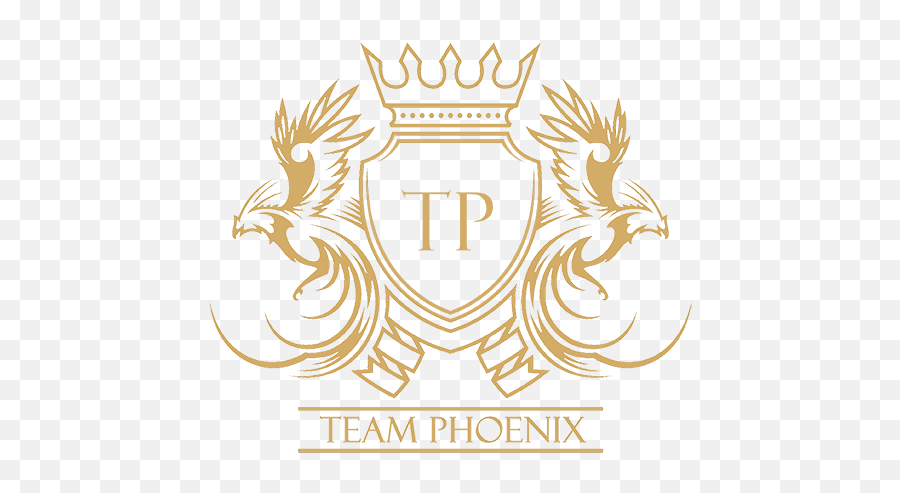 Team Phoenix Ooops Something Went Wrong - Logo Team Phoenix Png,Phoenix Transparent