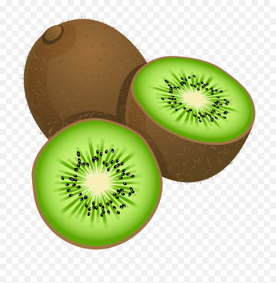 Large Painted Kiwi Frut Png Clipart Alimentação - Kiwi Clipart,Kiwi Bird Png