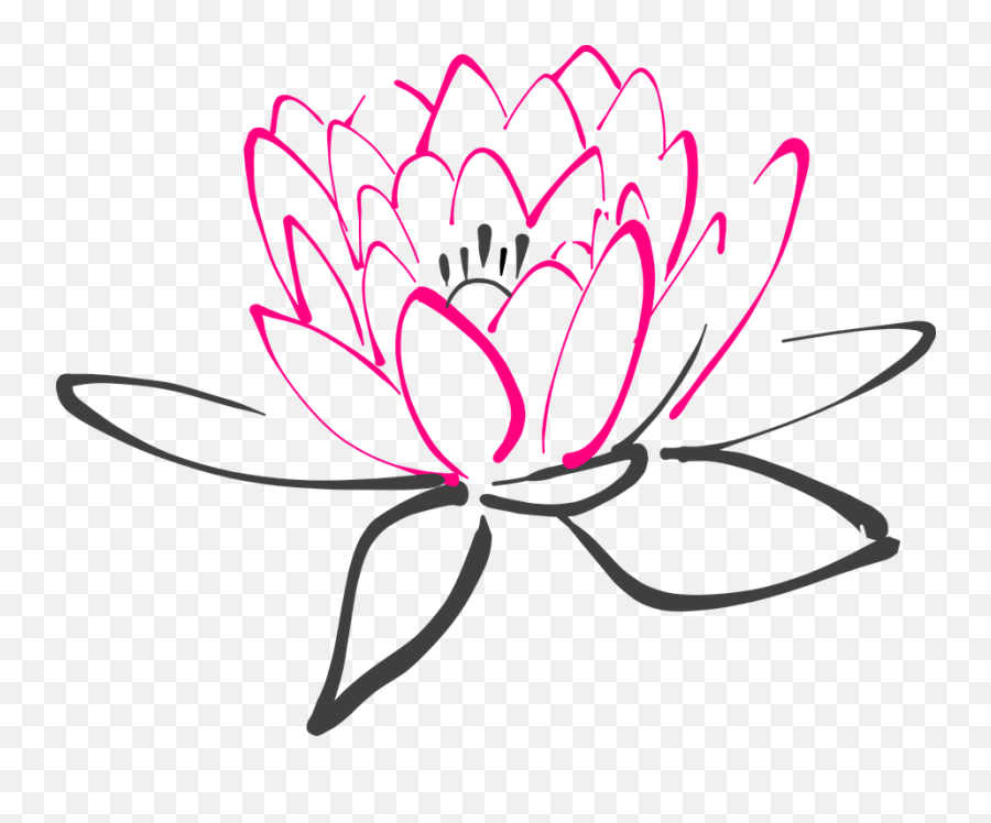 The Best Free Lily Clipart Images Download From 347 - Clip Art Massage Therapy Png,Lily Transparent Background