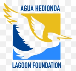 Agua Hedionda Lagoon Foundation - Seabird png