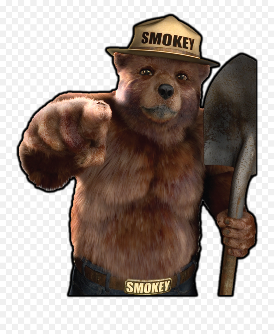 Smokey The Bear Png Picture - Smokey The Bear Realistic,Smokey Png