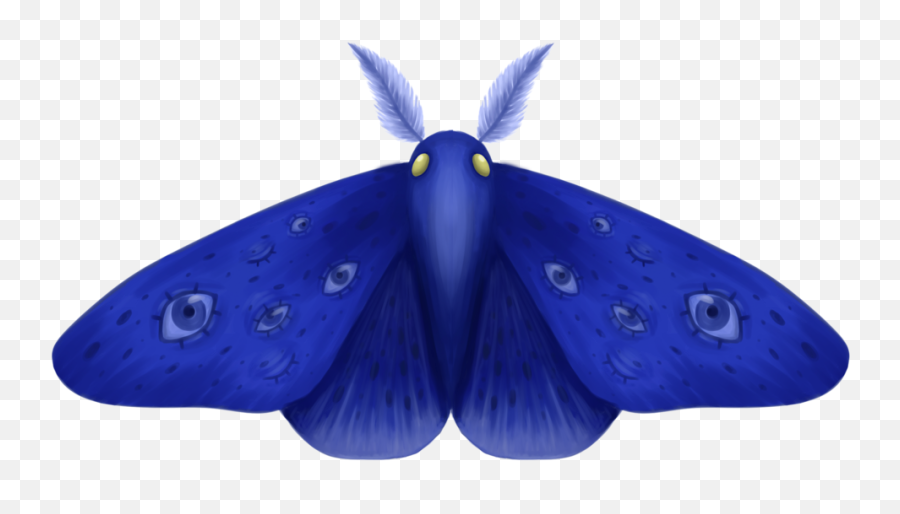Download Hd Moth Png Transparent Image - Nicepngcom Bombyx Mori,Moth Png