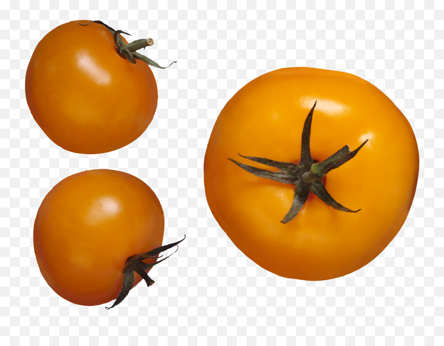 Red Tomatoes - Tomatoes Cherry Yellow Png,Tomatoe Png