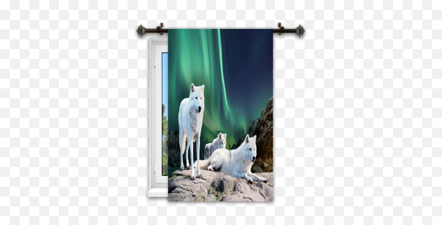 Download Hd Wolf Aurora Window Curtains - Blackout Wolfdog Png,Blackout Png