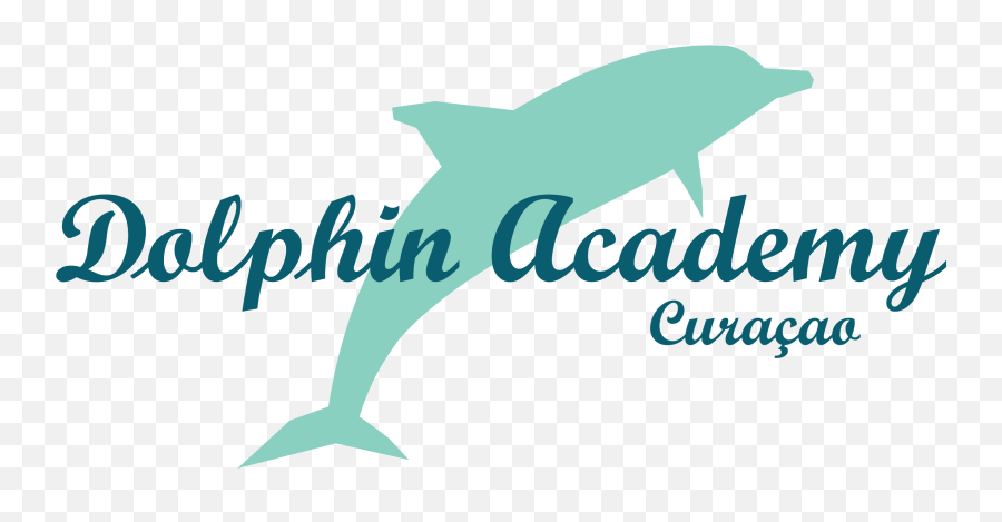 Home - Dolphin Academy Common Bottlenose Dolphin Png,Dolphins Logo Png