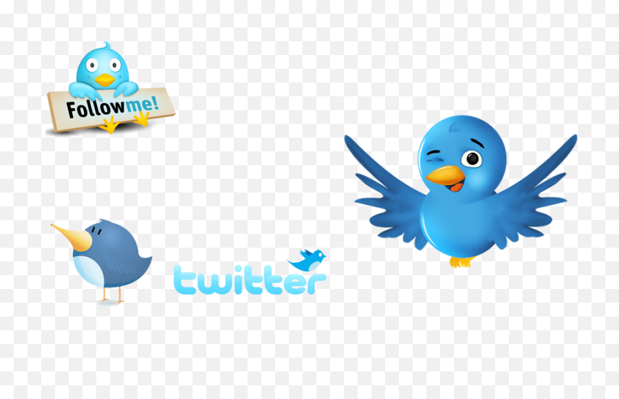 Download Twitter Logos - Cute Bird Transparent Background Follow Me On Twitter Png,Transparent Background Twitter Logo