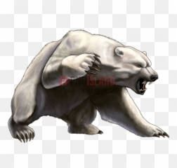 Png Image With Transparent Background - Polar Bear Angry Drawing,Bears Png