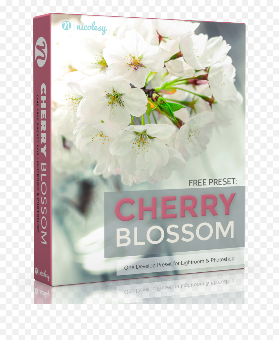 Free Lightroom Preset Cherry Blossom - Nicolesy Store Lightroom Cherryblossom Preset Free Png,Cherry Blossom Petals Png