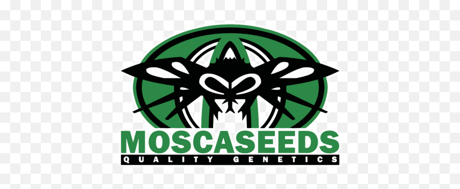 Animal Jam - Mosca Seeds Logo Png,Animal Jam Logo