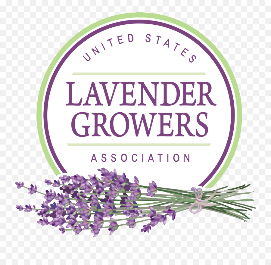 Evergreen Lavender Farm Appomattox - United States Lavender Growers Association Png,Lavender Logo