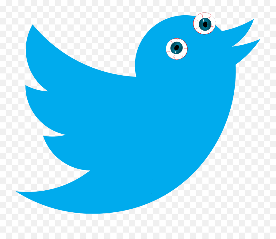 Twitter Bird Icon White Clipart - Twitter Png,Big Bird Icon