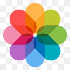 Sunburst Shaped Flower Blossom - Ios Photos Icon png