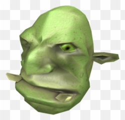 shrek head png by DarkWoodsx on DeviantArt