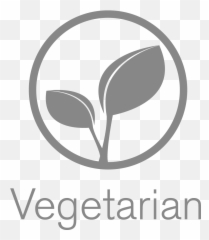 Dogamin U2013 Your Dogs Vitamin Of Choice - Zoho Workplace Logo png