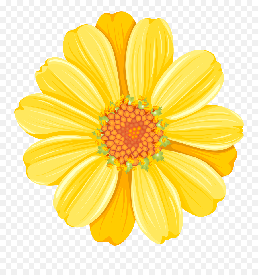 Yellow Daisy Png Transparent Clip Art
