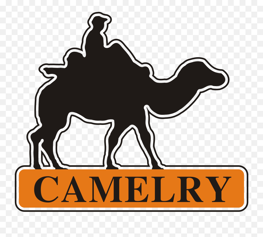Clip Art - Clip Art Png,Camel Logo