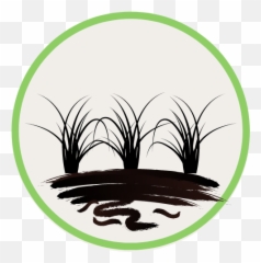 Sites U2014 Ecological Continuity Trust - Drawing png