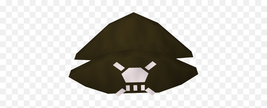 Pirates Hat - Stealth Aircraft Png,Pirate Hat Transparent