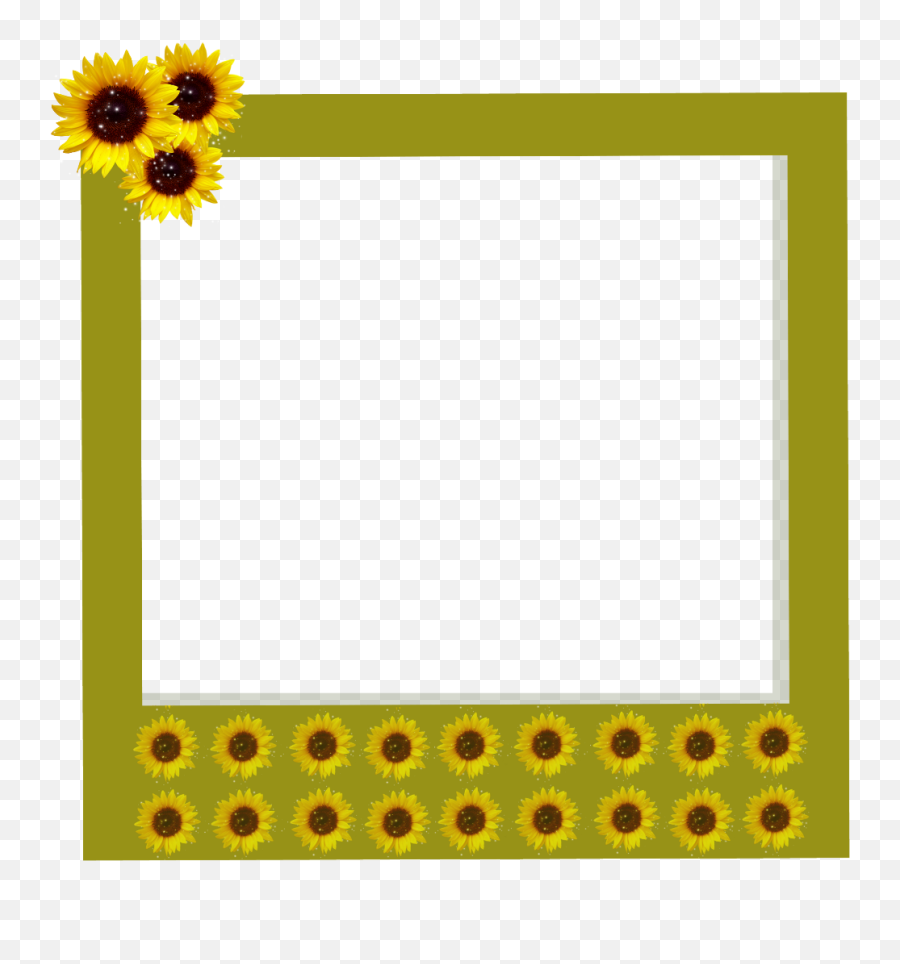 Download Polaroid Clipart Aesthetic Tumblr Full Size Png Aesthetic Transparent Polaroid Frame Free Transparent Png Images Pngaaa Com