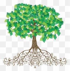 Psalm - Transparent Tree Of Roots 900x910 Png Clipart With Cartoon