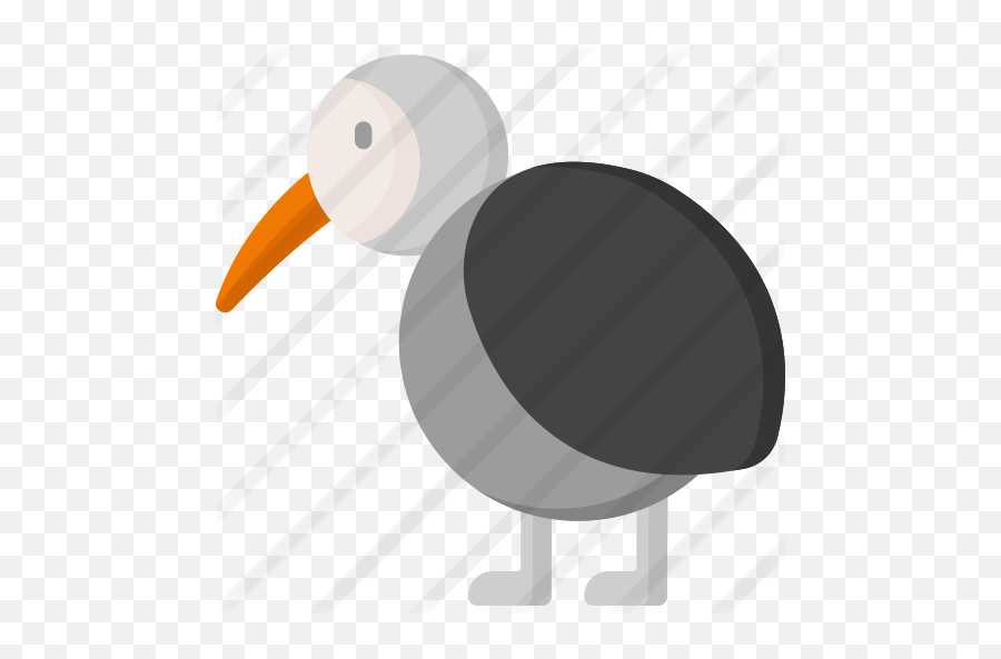 Kiwi - Free Animals Icons Clip Art Png,Kiwi Bird Png