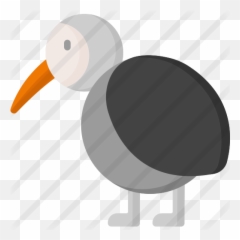 Kiwi - Free Animals Icons Clip Art Png,Kiwi Bird Png