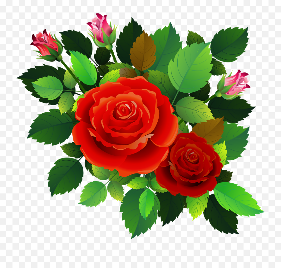 Roses Flowers Floral - Free Image On Pixabay Romantic Rose Images Hd Download Png,Rose Bush Png