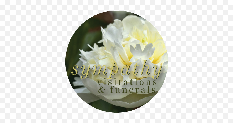 Download Order Online For Funeral Service U0026 Visitation - Common Peony Png,Funeral Flowers Png