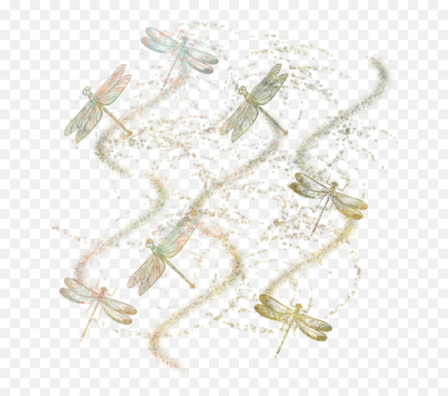 Dragonfly Masked Textures 800 X Png Transparent - Insects,Dragonfly Transparent Background