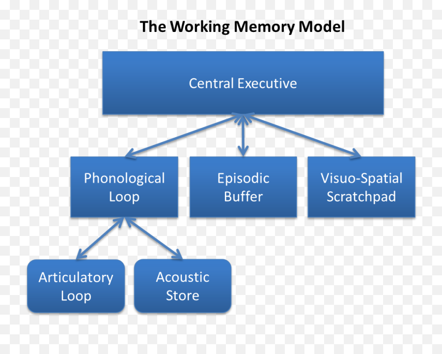 Filebaddeley And Hitchu0027s Working Memory Modelpng - Music And Memory Model,Working Png