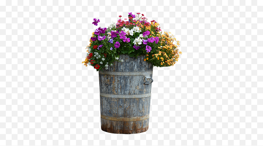 A Tall Wood Barrel Planter Filled With - Wooden Flower Pot Png,Planter Png