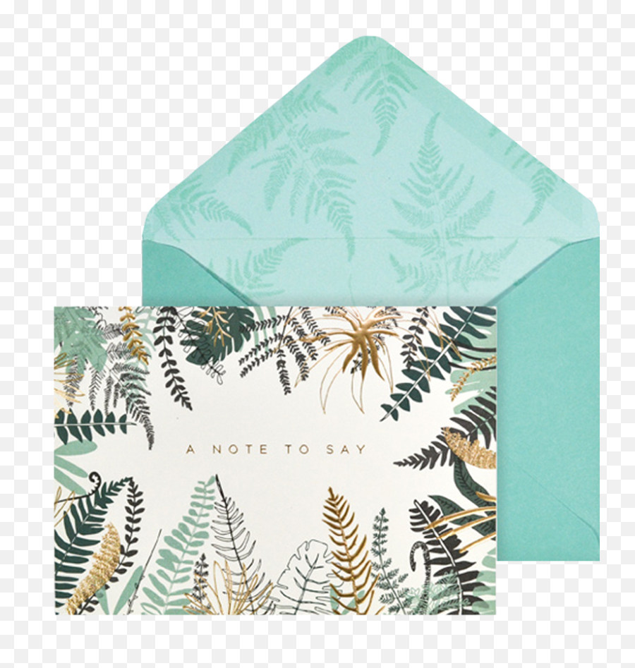 Ferns - Blank Card Set Greeting Cards For Online Shop Png,Ferns Png