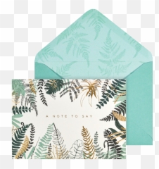 Ferns - Blank Card Set Greeting Cards For Online Shop Png,Ferns Png